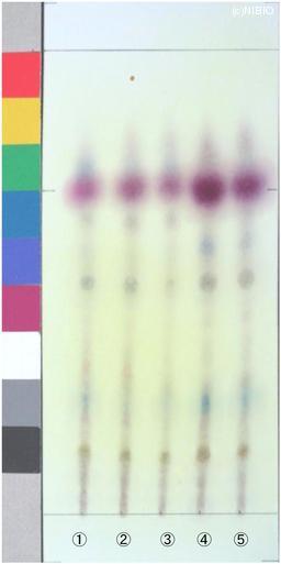 http://mpdb.nibiohn.go.jp/CONTENTS_ROOT/JP_IDENTIFICATION_PHOTO_DATA/JP_IDENTIFICATION_PHOTO_FILE/thumbnail/1267.jpg