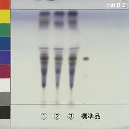 http://mpdb.nibiohn.go.jp/CONTENTS_ROOT/JP_IDENTIFICATION_PHOTO_DATA/JP_IDENTIFICATION_PHOTO_FILE/thumbnail/645.jpg