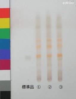 http://mpdb.nibiohn.go.jp/CONTENTS_ROOT/JP_IDENTIFICATION_PHOTO_DATA/JP_IDENTIFICATION_PHOTO_FILE/thumbnail/523.JPG