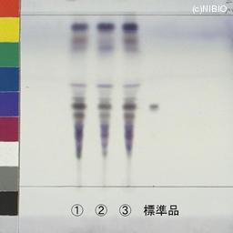 http://mpdb.nibiohn.go.jp/CONTENTS_ROOT/JP_IDENTIFICATION_PHOTO_DATA/JP_IDENTIFICATION_PHOTO_FILE/thumbnail/643.jpg