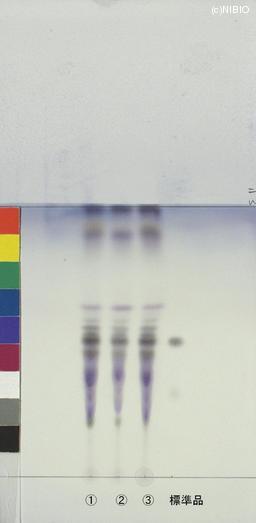 http://mpdb.nibiohn.go.jp/CONTENTS_ROOT/JP_IDENTIFICATION_PHOTO_DATA/JP_IDENTIFICATION_PHOTO_FILE/thumbnail/646.jpg