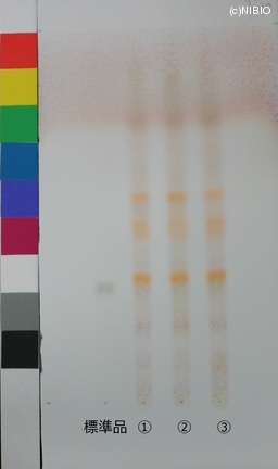 http://mpdb.nibiohn.go.jp/CONTENTS_ROOT/JP_IDENTIFICATION_PHOTO_DATA/JP_IDENTIFICATION_PHOTO_FILE/thumbnail/524.JPG