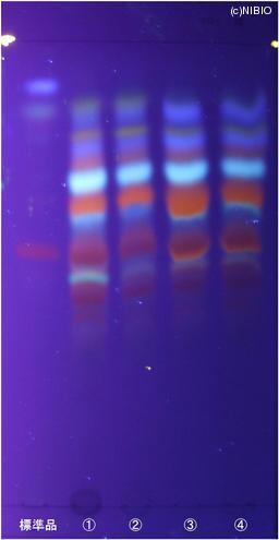 http://mpdb.nibiohn.go.jp/CONTENTS_ROOT/JP_IDENTIFICATION_PHOTO_DATA/JP_IDENTIFICATION_PHOTO_FILE/thumbnail/672.jpg
