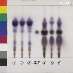 http://mpdb.nibiohn.go.jp/CONTENTS_ROOT/JP_IDENTIFICATION_PHOTO_DATA/JP_IDENTIFICATION_PHOTO_FILE/thumbnail/1268.jpg