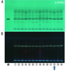 http://mpdb.nibiohn.go.jp/CONTENTS_ROOT/TLC_DATA/TLC_FIG_FILE/thumbnail/610.jpg