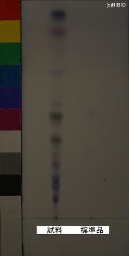http://mpdb.nibiohn.go.jp/CONTENTS_ROOT/JP_IDENTIFICATION_PHOTO_DATA/JP_IDENTIFICATION_PHOTO_FILE/thumbnail/648.JPG