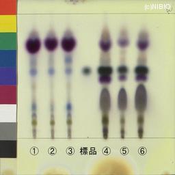 http://mpdb.nibiohn.go.jp/CONTENTS_ROOT/JP_IDENTIFICATION_PHOTO_DATA/JP_IDENTIFICATION_PHOTO_FILE/thumbnail/1270.jpg