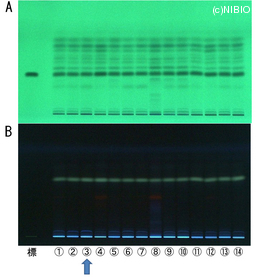 http://mpdb.nibiohn.go.jp/CONTENTS_ROOT/TLC_DATA/TLC_FIG_FILE/thumbnail/601.jpg