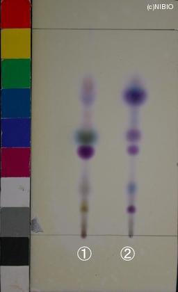 http://mpdb.nibiohn.go.jp/CONTENTS_ROOT/JP_IDENTIFICATION_PHOTO_DATA/JP_IDENTIFICATION_PHOTO_FILE/thumbnail/1272.JPG