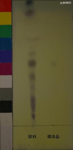 http://mpdb.nibiohn.go.jp/CONTENTS_ROOT/JP_IDENTIFICATION_PHOTO_DATA/JP_IDENTIFICATION_PHOTO_FILE/thumbnail/650.JPG