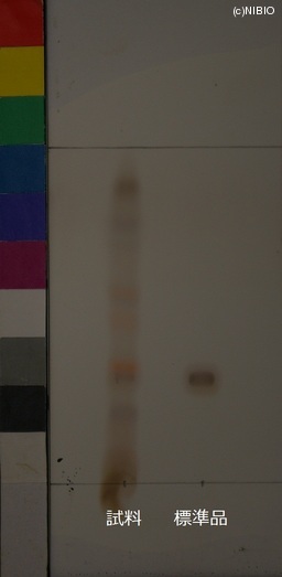http://mpdb.nibiohn.go.jp/CONTENTS_ROOT/JP_IDENTIFICATION_PHOTO_DATA/JP_IDENTIFICATION_PHOTO_FILE/thumbnail/531.JPG