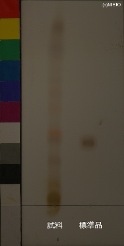 http://mpdb.nibiohn.go.jp/CONTENTS_ROOT/JP_IDENTIFICATION_PHOTO_DATA/JP_IDENTIFICATION_PHOTO_FILE/thumbnail/532.JPG