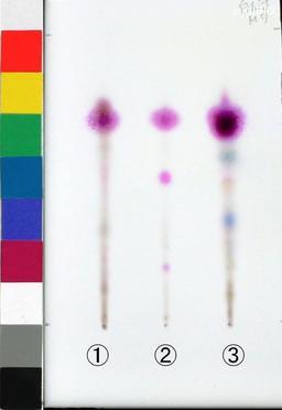 http://mpdb.nibiohn.go.jp/CONTENTS_ROOT/JP_IDENTIFICATION_PHOTO_DATA/JP_IDENTIFICATION_PHOTO_FILE/thumbnail/1276.jpg