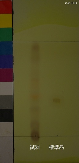 http://mpdb.nibiohn.go.jp/CONTENTS_ROOT/JP_IDENTIFICATION_PHOTO_DATA/JP_IDENTIFICATION_PHOTO_FILE/thumbnail/533.JPG
