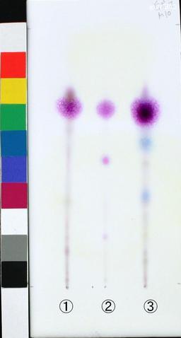 http://mpdb.nibiohn.go.jp/CONTENTS_ROOT/JP_IDENTIFICATION_PHOTO_DATA/JP_IDENTIFICATION_PHOTO_FILE/thumbnail/1277.jpg