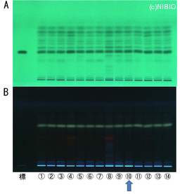 http://mpdb.nibiohn.go.jp/CONTENTS_ROOT/TLC_DATA/TLC_FIG_FILE/thumbnail/608.jpg