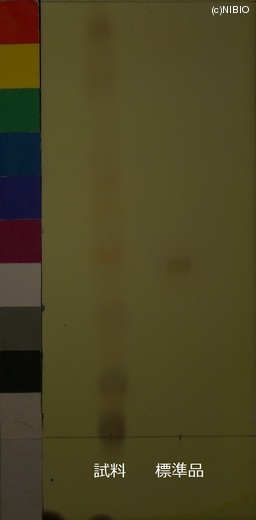 http://mpdb.nibiohn.go.jp/CONTENTS_ROOT/JP_IDENTIFICATION_PHOTO_DATA/JP_IDENTIFICATION_PHOTO_FILE/thumbnail/534.JPG