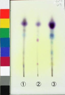 http://mpdb.nibiohn.go.jp/CONTENTS_ROOT/JP_IDENTIFICATION_PHOTO_DATA/JP_IDENTIFICATION_PHOTO_FILE/thumbnail/1278.jpg