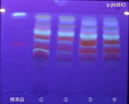 http://mpdb.nibiohn.go.jp/CONTENTS_ROOT/JP_IDENTIFICATION_PHOTO_DATA/JP_IDENTIFICATION_PHOTO_FILE/thumbnail/125.jpg