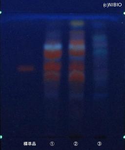 http://mpdb.nibiohn.go.jp/CONTENTS_ROOT/JP_IDENTIFICATION_PHOTO_DATA/JP_IDENTIFICATION_PHOTO_FILE/thumbnail/683.JPG