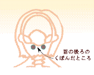 width=