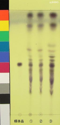 http://mpdb.nibiohn.go.jp/CONTENTS_ROOT/JP_IDENTIFICATION_PHOTO_DATA/JP_IDENTIFICATION_PHOTO_FILE/thumbnail/658.jpg