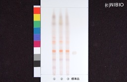 http://mpdb.nibiohn.go.jp/CONTENTS_ROOT/JP_IDENTIFICATION_PHOTO_DATA/JP_IDENTIFICATION_PHOTO_FILE/thumbnail/536.jpg