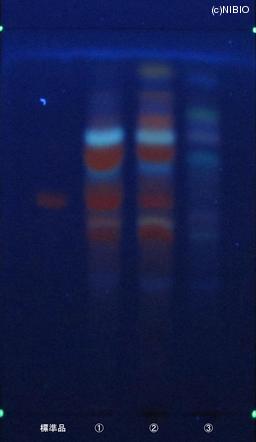 http://mpdb.nibiohn.go.jp/CONTENTS_ROOT/JP_IDENTIFICATION_PHOTO_DATA/JP_IDENTIFICATION_PHOTO_FILE/thumbnail/684.JPG