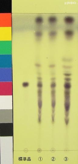 http://mpdb.nibiohn.go.jp/CONTENTS_ROOT/JP_IDENTIFICATION_PHOTO_DATA/JP_IDENTIFICATION_PHOTO_FILE/thumbnail/658.jpg