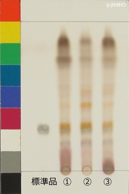 http://mpdb.nibiohn.go.jp/CONTENTS_ROOT/JP_IDENTIFICATION_PHOTO_DATA/JP_IDENTIFICATION_PHOTO_FILE/thumbnail/539.jpg