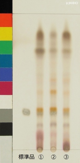 http://mpdb.nibiohn.go.jp/CONTENTS_ROOT/JP_IDENTIFICATION_PHOTO_DATA/JP_IDENTIFICATION_PHOTO_FILE/thumbnail/540.jpg