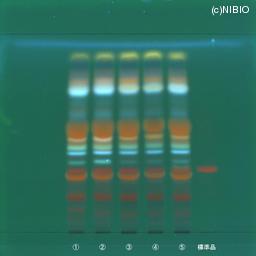 http://mpdb.nibiohn.go.jp/CONTENTS_ROOT/JP_IDENTIFICATION_PHOTO_DATA/JP_IDENTIFICATION_PHOTO_FILE/thumbnail/675.jpg
