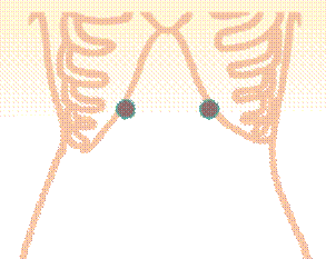 width=