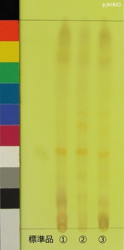 http://mpdb.nibiohn.go.jp/CONTENTS_ROOT/JP_IDENTIFICATION_PHOTO_DATA/JP_IDENTIFICATION_PHOTO_FILE/thumbnail/542.jpg
