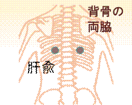 width=
