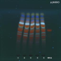 http://mpdb.nibiohn.go.jp/CONTENTS_ROOT/JP_IDENTIFICATION_PHOTO_DATA/JP_IDENTIFICATION_PHOTO_FILE/thumbnail/678.jpg