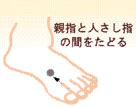 width=