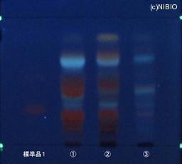http://mpdb.nibiohn.go.jp/CONTENTS_ROOT/JP_IDENTIFICATION_PHOTO_DATA/JP_IDENTIFICATION_PHOTO_FILE/thumbnail/679.JPG