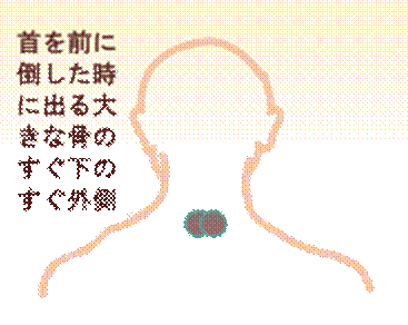 width=