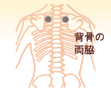 width=