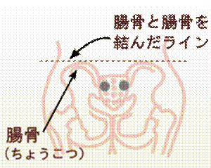 width=
