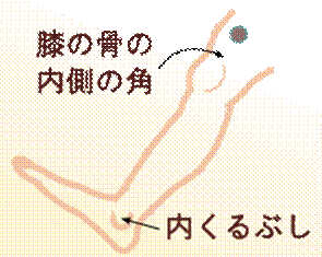 width=
