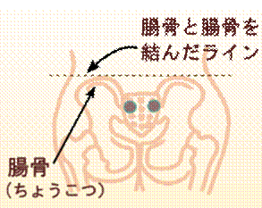 width=