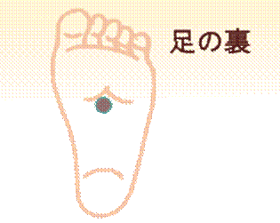 width=