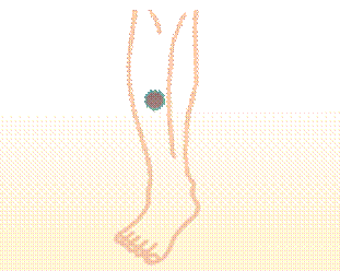 width=