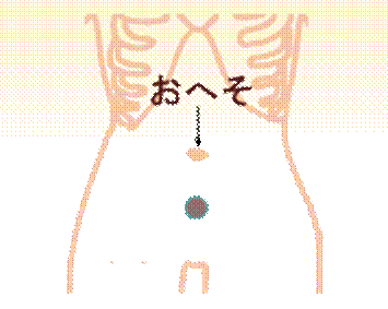 width=