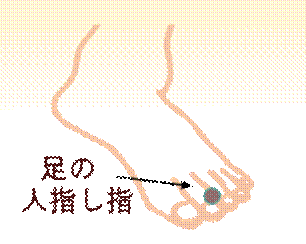 width=