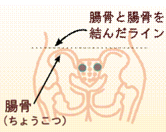 width=