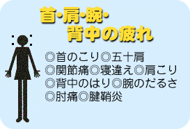 AArAw̔ɂĂIK͎̒ʂłB̂A܏\A֐ߒɁAQႦAAŵ͂Ar̂邳AIɁA񂵂傤B