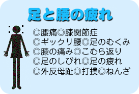 ƍ̔ɂĂIK͎̒ʂłBɁAG֐ߏǁAMbNÂނ݁AG̒ɂ݁AނԂÂтA̔AOAŖoA˂񂴓B